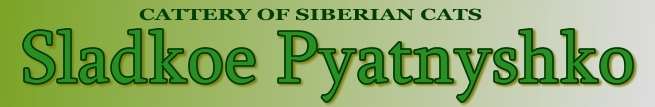 Cattery of siberian cats "Sladkoe Pyatnyshko"